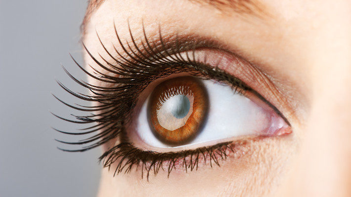 ความยาวขนตา: ส่วนขยายของขนตาของคุณควรยาวแค่ไหน?